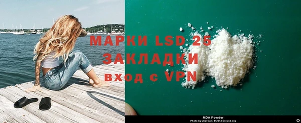 гидра Арсеньев