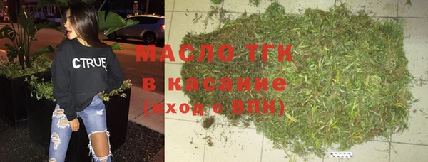 индика Аркадак