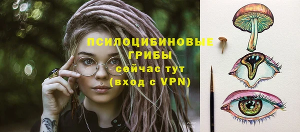 индика Аркадак