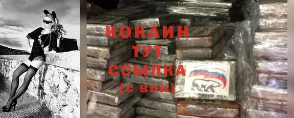 индика Аркадак