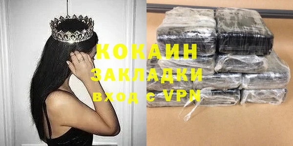гидра Арсеньев