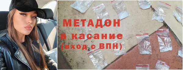 индика Аркадак