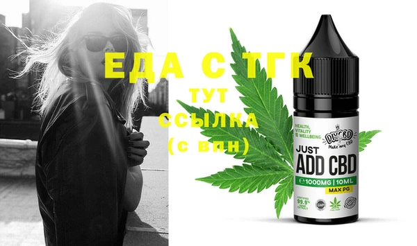 индика Аркадак