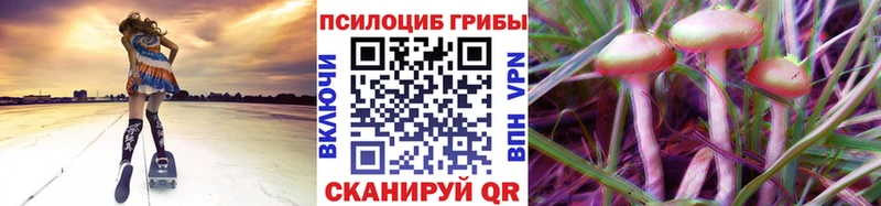 Галлюциногенные грибы GOLDEN TEACHER  МЕГА как войти  Тейково 